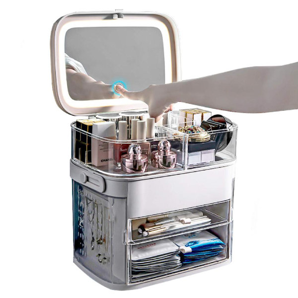 Rebrilliant Kenzel Plastic Compartment Makeup Organizer Wayfair